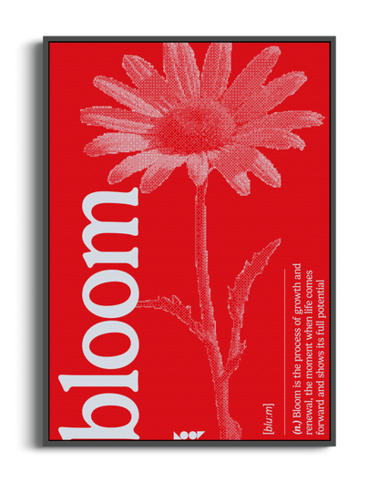 Bloom