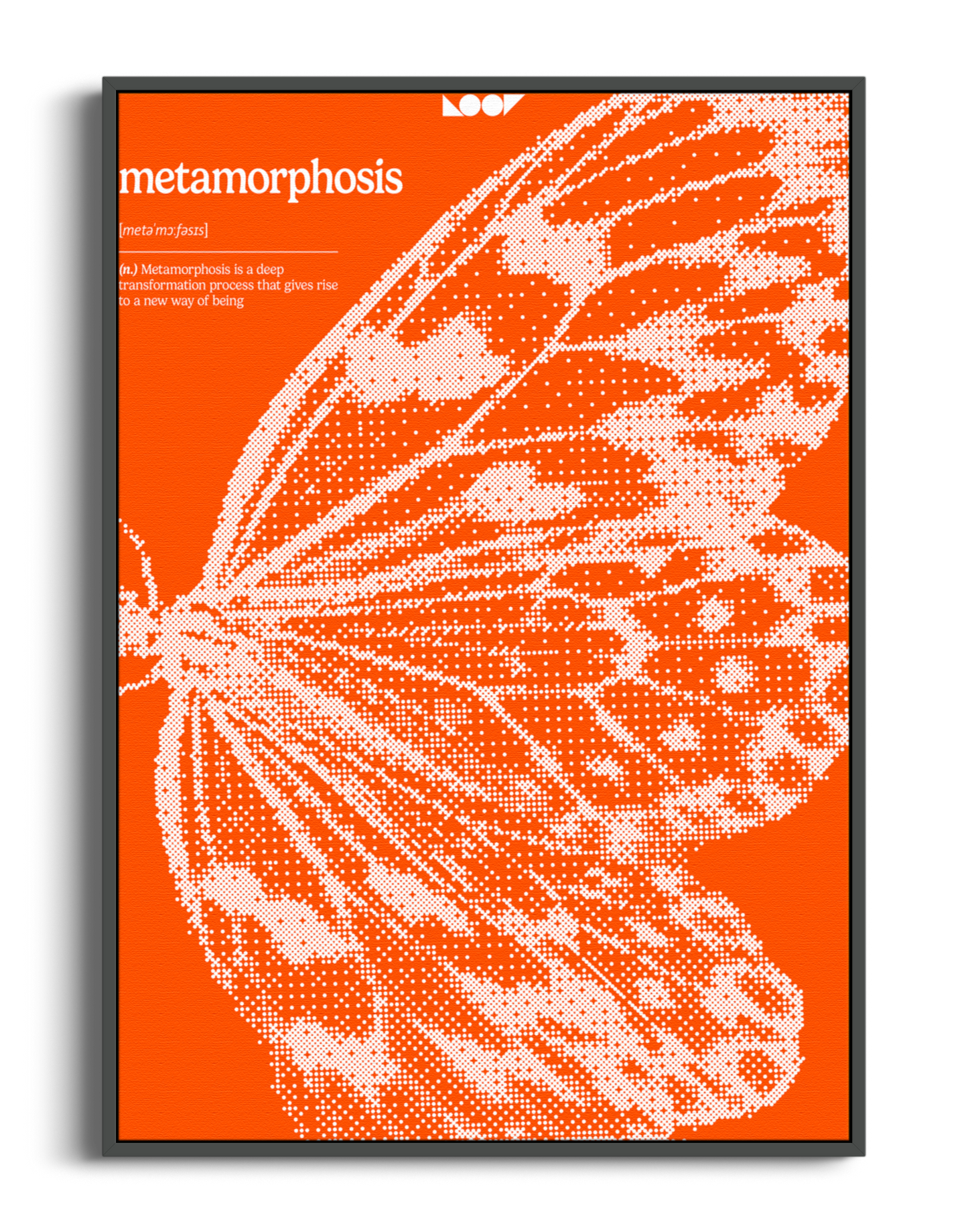 Metamorphosis