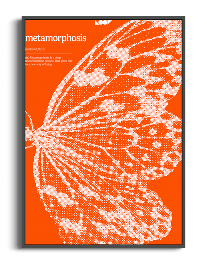 Metamorphosis